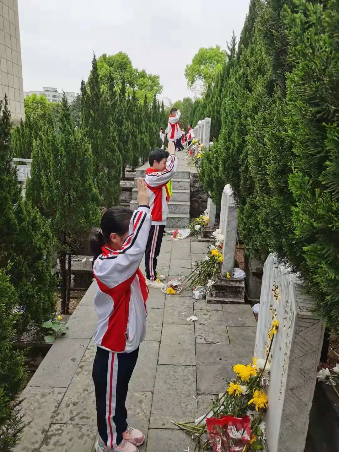 铜仁市各级团组织、少先队组织广泛开展“学党史·祭英烈·跟党走”主题活动