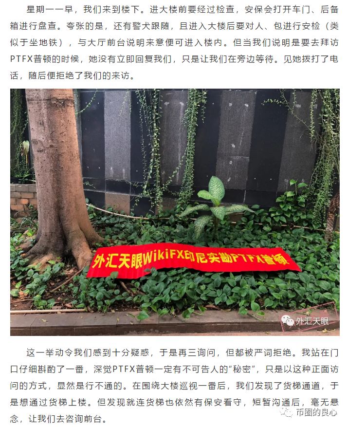 普顿，就是下一个PlusToken