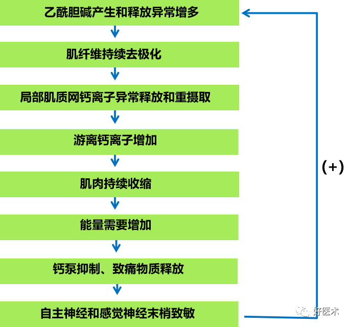 一篇文章全面了解：肌筋膜疼痛综合征！