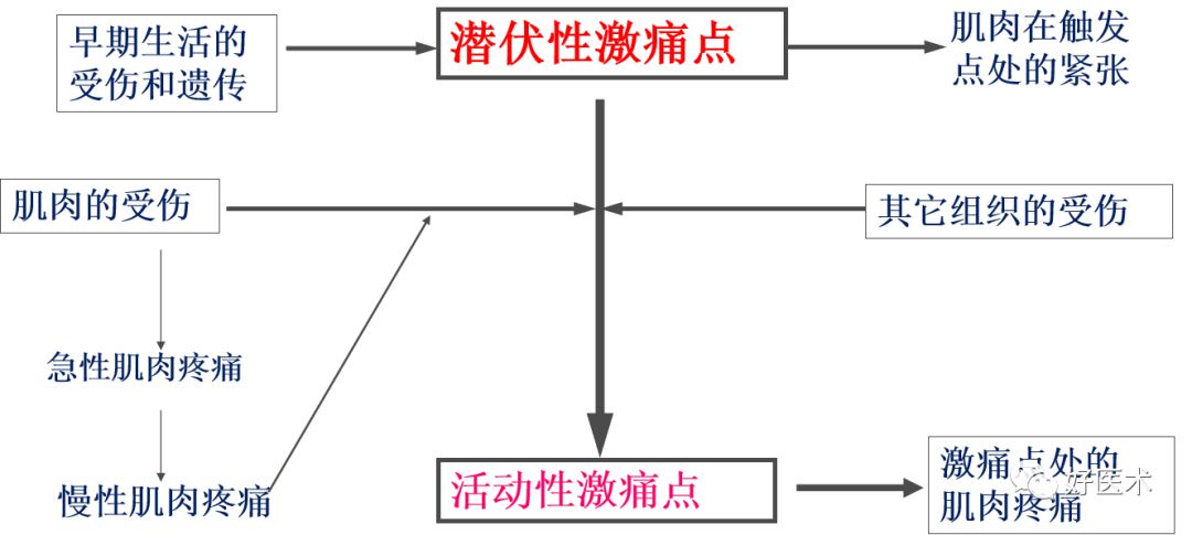 一篇文章全面了解：肌筋膜疼痛综合征！