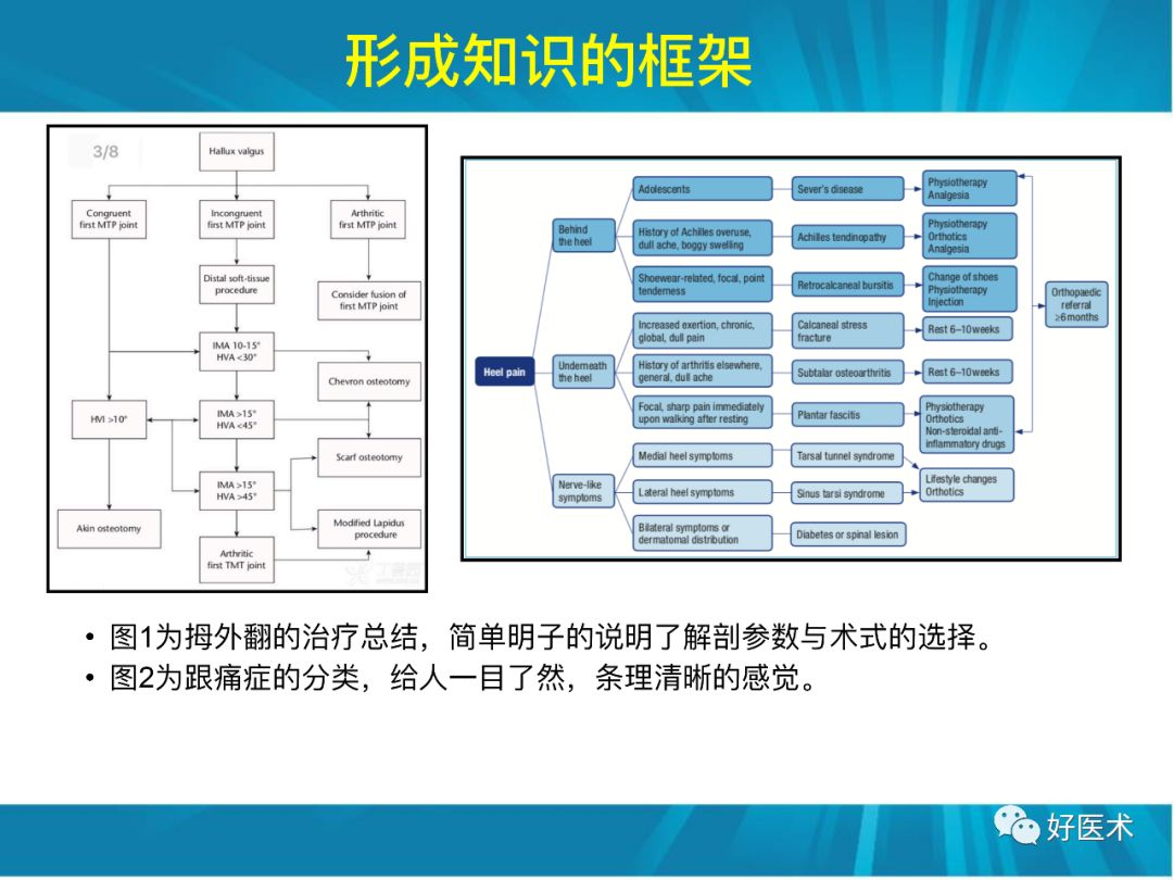 骨林秘籍：年轻骨科医生的成长之道！