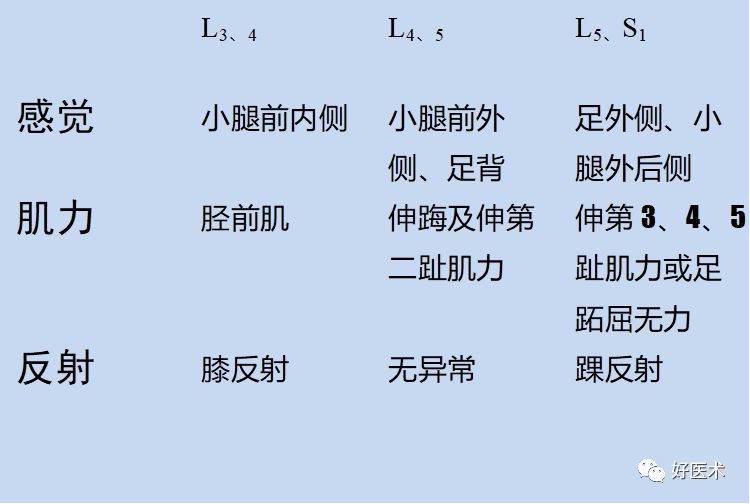 10分钟带您系统学习：腰椎间盘突出症！