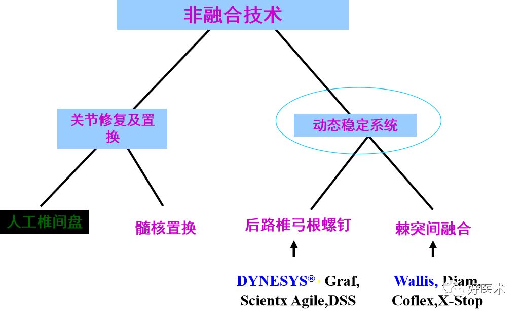 10分钟带您系统学习：腰椎间盘突出症！