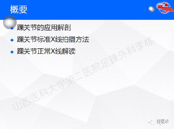 一文详解！踝关节的应用解剖及正常X线解读