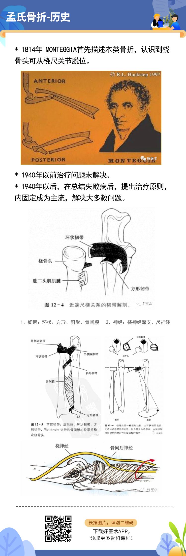 关于孟氏骨折，这篇文章讲得太全面了！