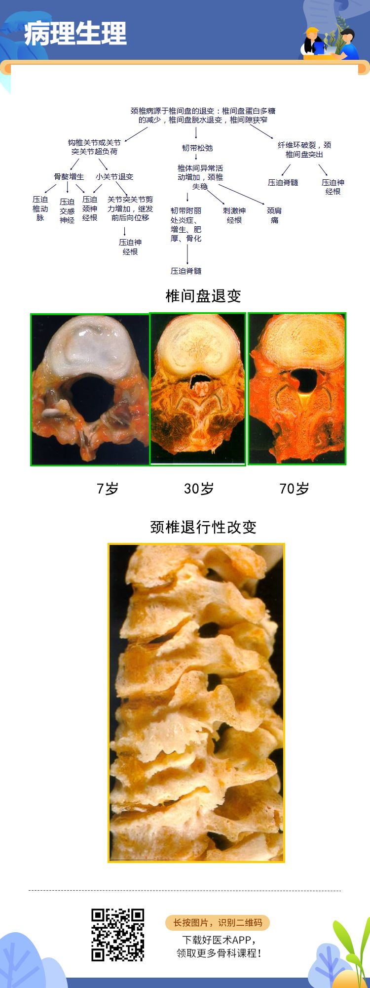 颈椎病知多少？十张图帮你快速复习！