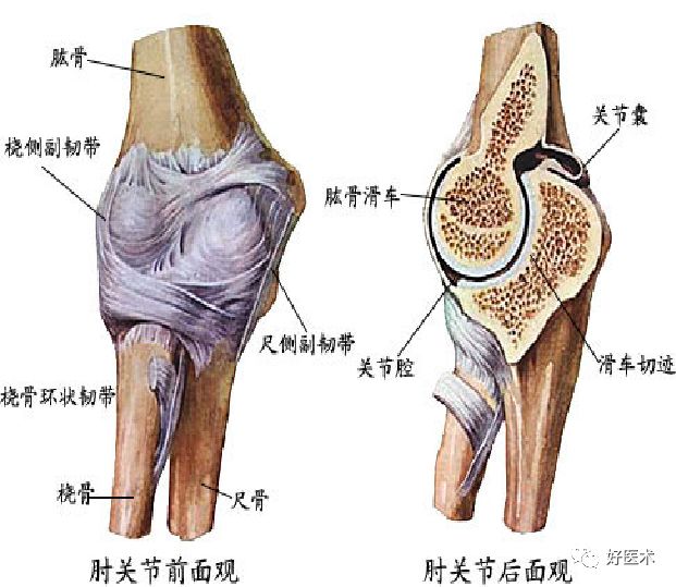 遇到网球肘该咋整？看完这篇轻松应对！