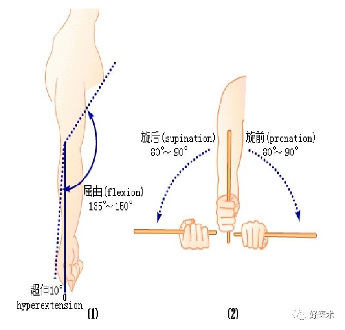 遇到网球肘该咋整？看完这篇轻松应对！