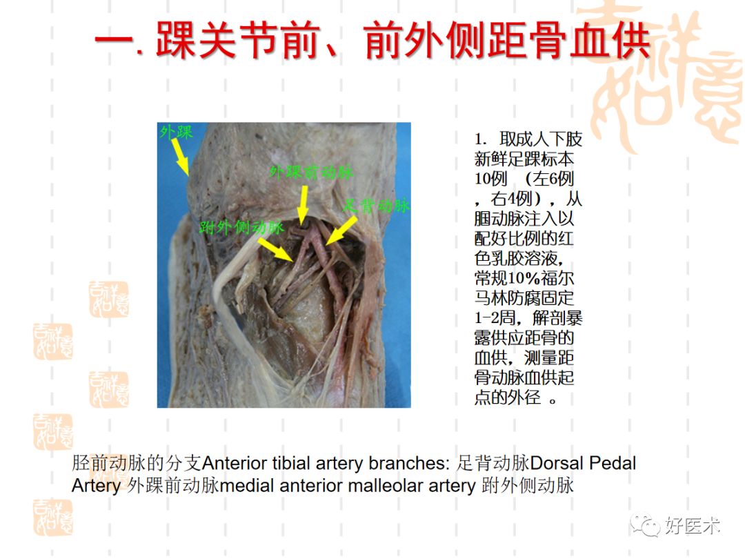 距骨骨折的手术入路及治疗技巧详解，值得一看！