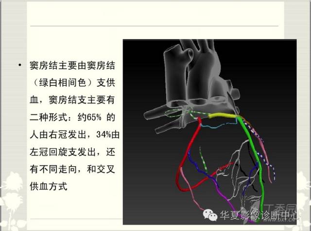 图文详解冠脉解剖及分段，值得收藏！