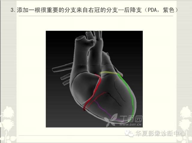 图文详解冠脉解剖及分段，值得收藏！