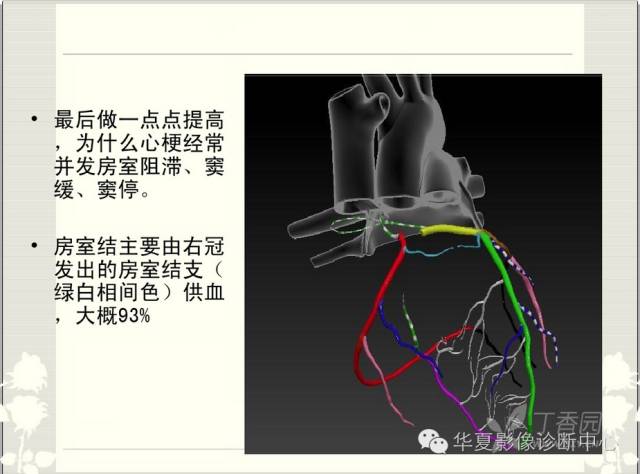 图文详解冠脉解剖及分段，值得收藏！