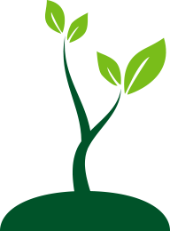 幼苗,植树节,植物