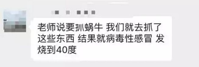 雨后遍地爬的大蜗牛，为啥不能让孩子碰？快转发提醒更多的人！