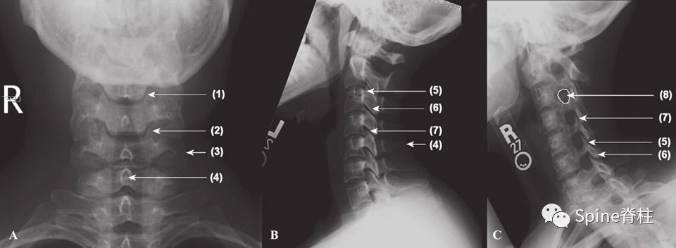 干货！颈椎