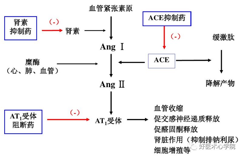 心梗治好了，为什么还要“抗心肌重构”？