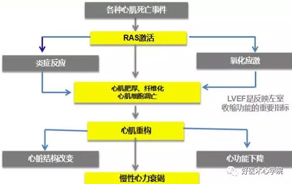 心梗治好了，为什么还要“抗心肌重构”？