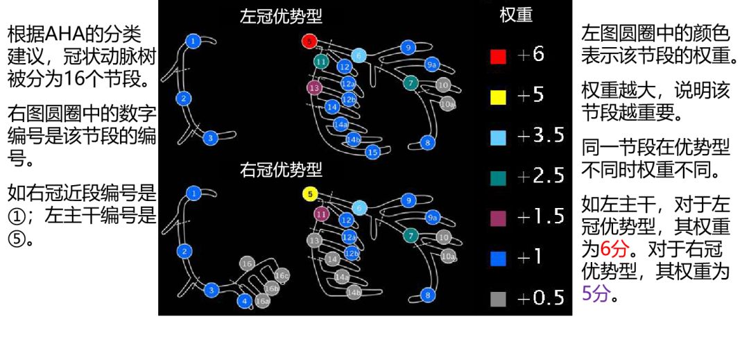 介入医师必看—冠脉造影的判断与评估