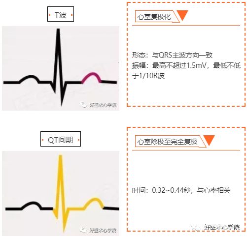 窦性心律，到底是个什么“病”？