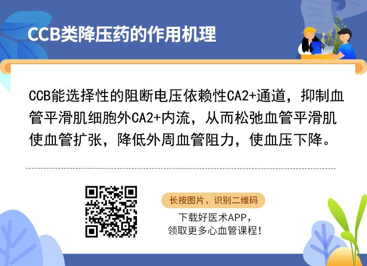 收藏7张图：掌握18种钙离子拮抗剂使用全攻略