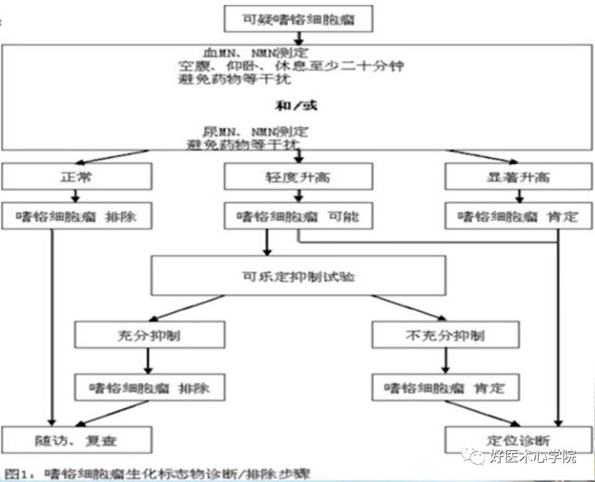 血压忽高忽低，排除嗜铬细胞瘤后的真相到底是什么？