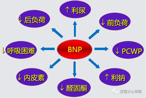 全国心衰日：关注心衰患者随时可能出现急性心力衰竭