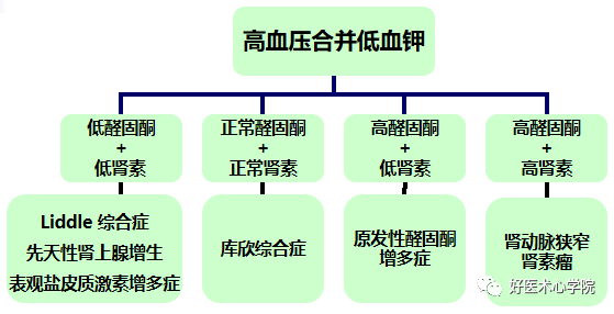 高血压合并低血钾，你能想到多少种可能？