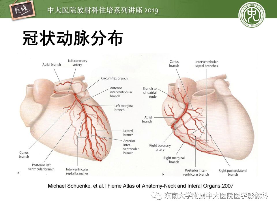 不能错过！冠状动脉CTA诊断超全教程