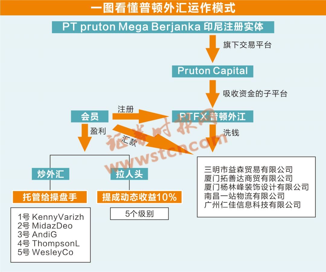 普顿，就是下一个PlusToken