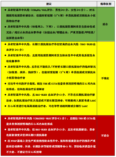 重磅！中华医学会心血管病学分会发布《关于左心耳封堵预防房颤卒中的专家共识（2019）》/何奔教授高端访谈