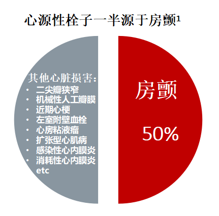 中国心房颤动患者卒中预防规范