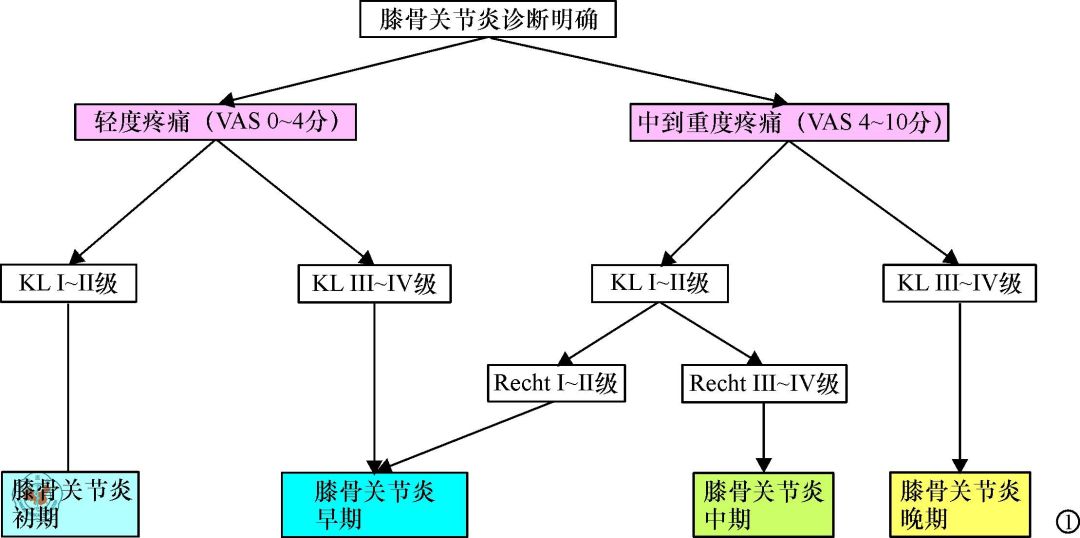 膝骨关节炎阶梯治疗专家共识（2018