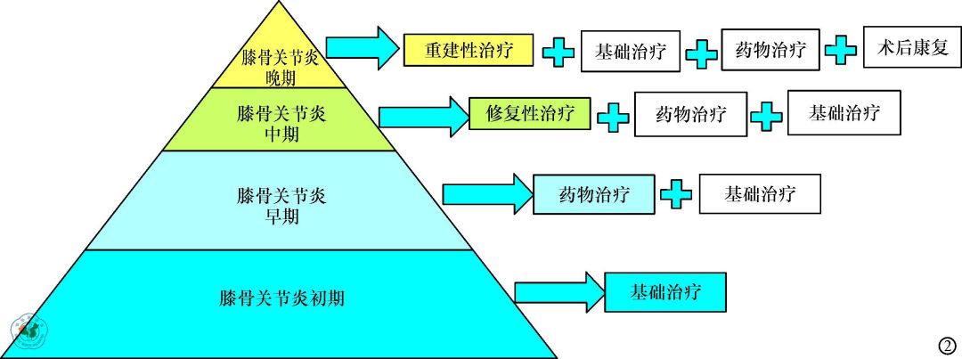 膝骨关节炎阶梯治疗专家共识（2018