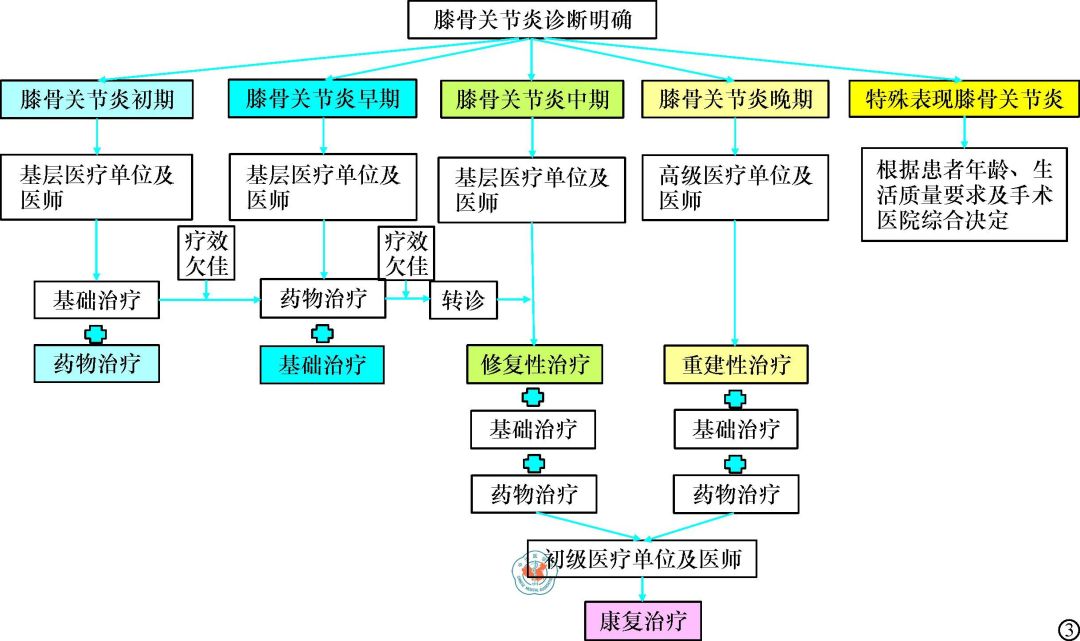 膝骨关节炎阶梯治疗专家共识（2018