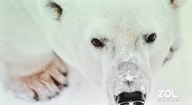 松下PT-FRQ680C投影评测——沉浸式体验利器!