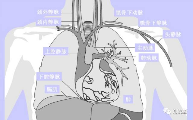 手把手教你做心脏起搏器(精美图文教学)