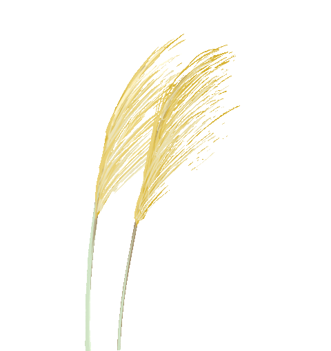 安全生产月 | 安全科普知识（自然灾害类）