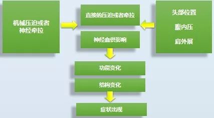 早读