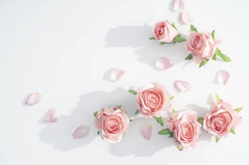 aHR0cHM6Ly9tbWJpei5xbG9nby5jbi9tbWJpel9w