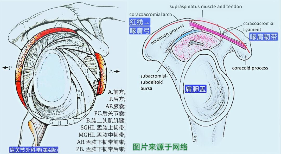 急性肩关节脱位处理方法大全，骨科医生必看！