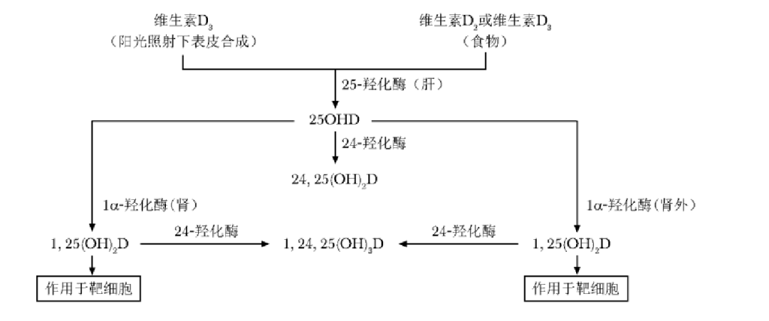 最全骨质疏松药物防治策略出炉，快收藏！