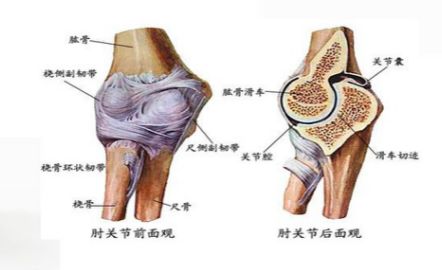骨科医生必须掌握：桡骨颈骨折的7种治疗方法！