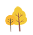 大树,树木,秋天