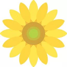 菊花,花,花朵,植物