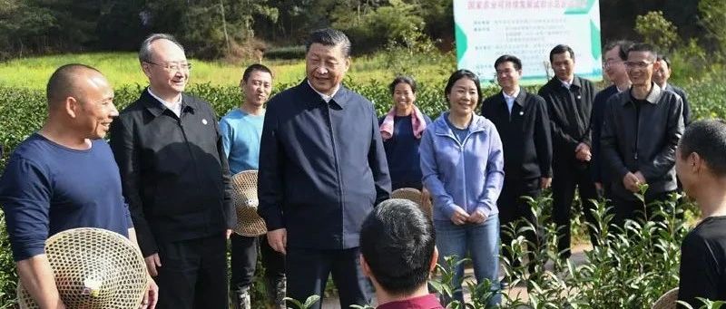学习语丨敢字为先、干字当头