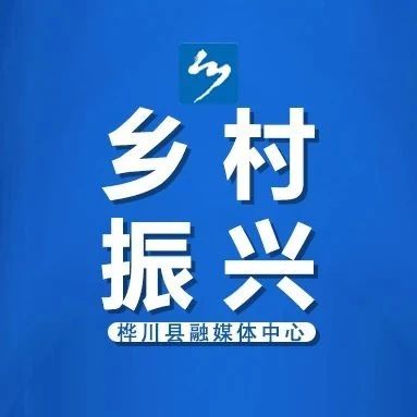 乡村振兴丨横头山镇解放村：奏响纾民困、解民忧、谋发展的振兴乐章