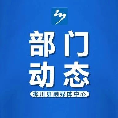 部门动态丨县统计局开展提升乡镇指标统计专题培训会