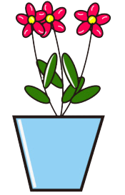 花朵,花盆,盆栽,装饰