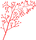 红豆,国风,喜庆,新春