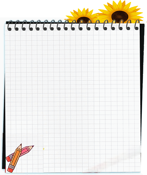铅笔,笔记本,向日葵